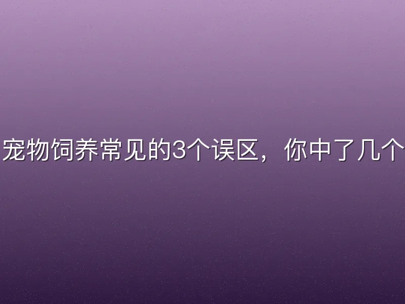 宠物饲养常见的3个误区，你中了几个
